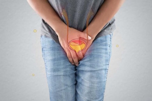 A representation of the urinary tract.