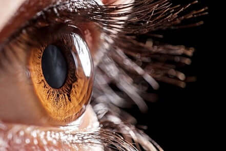 Closeup of a cornea.