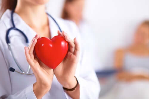 Лекар, който държи пластмасово сърце.
