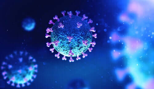 The two main strains of coronavirus.