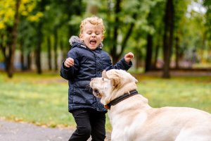 My Child is Scared of Animals. What Should I Do?