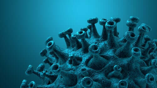 Coronavirus cells.