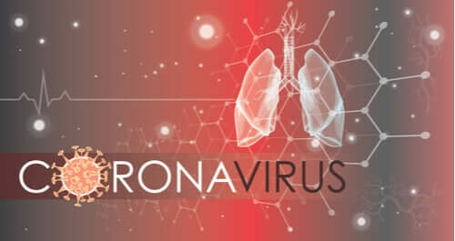 How Coronavirus Infects Cells in the Lungs