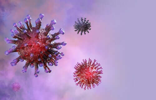 The coronavirus.