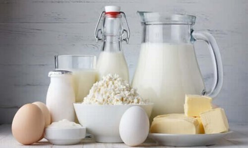 Different dairy products.