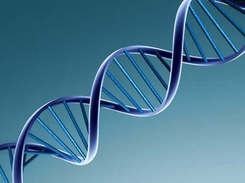 DNA.