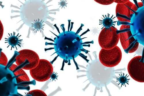 The immune system and lymphocytes.