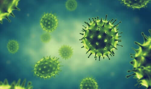 Coronavirus under a microscope.
