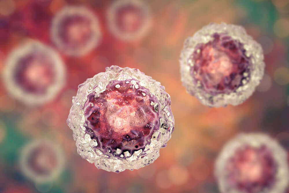 An enlarged image of a virus.