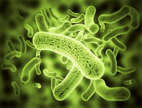 A digital representation of bacteria.