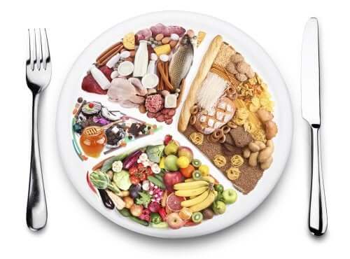 A plate representing a varied diet to avoid digestive problems