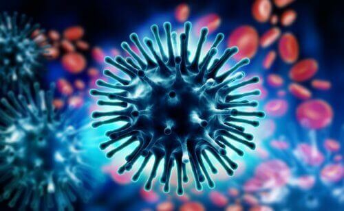 A virus.