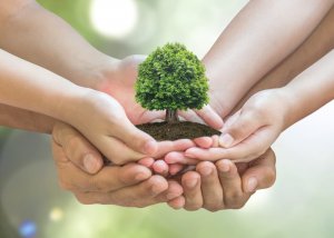 10 Tips to Take Care of the Environment at Home