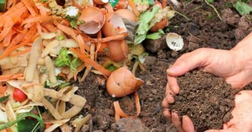 A person composting to take care of the environment at home.