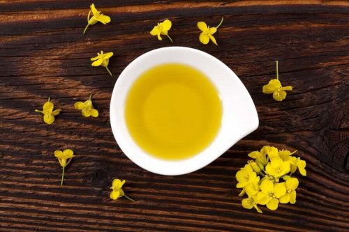 Everything You Need to Know about Canola Oil