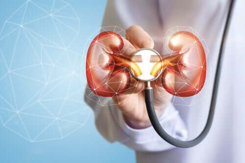 How COVID-19 Affects the Kidneys