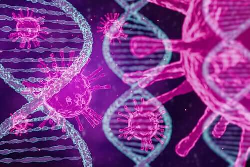 A Study Confirms Three Types of Coronavirus in the World