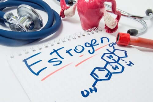 Estrogen.