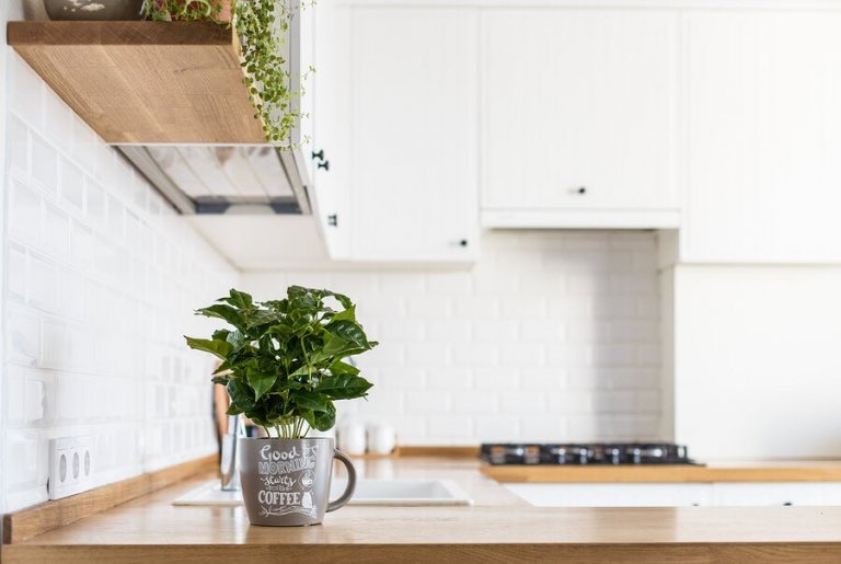 How to Grow Fresh Herbs in Your Kitchen