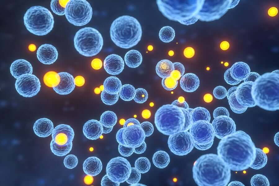 The spread of the herpes virus.