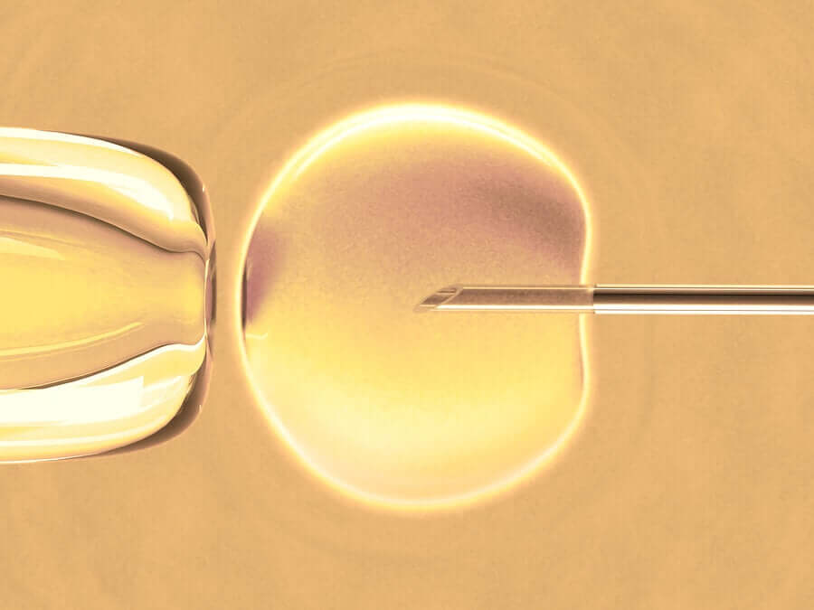 What Is In Vitro Fertilization Step To Health