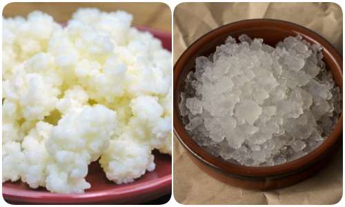 Some kefir.