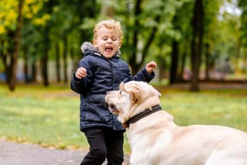 Kid afraid of dog.