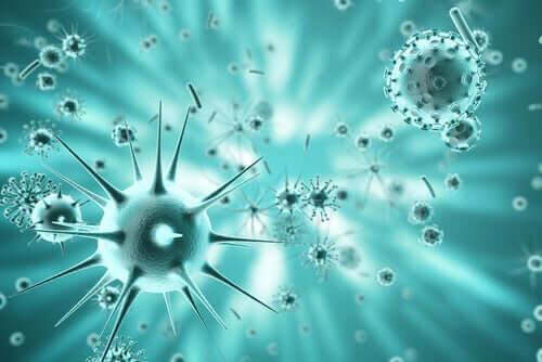How Viruses Evolve: The Race is On