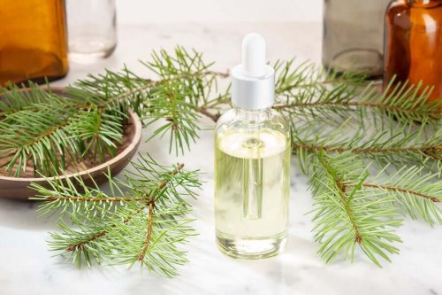 How to Use Pine Oil to Alleviate Cold Symptoms