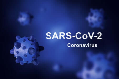 What's the Origin of Coronavirus and Why Haven't We Been Able to Eradicate It?