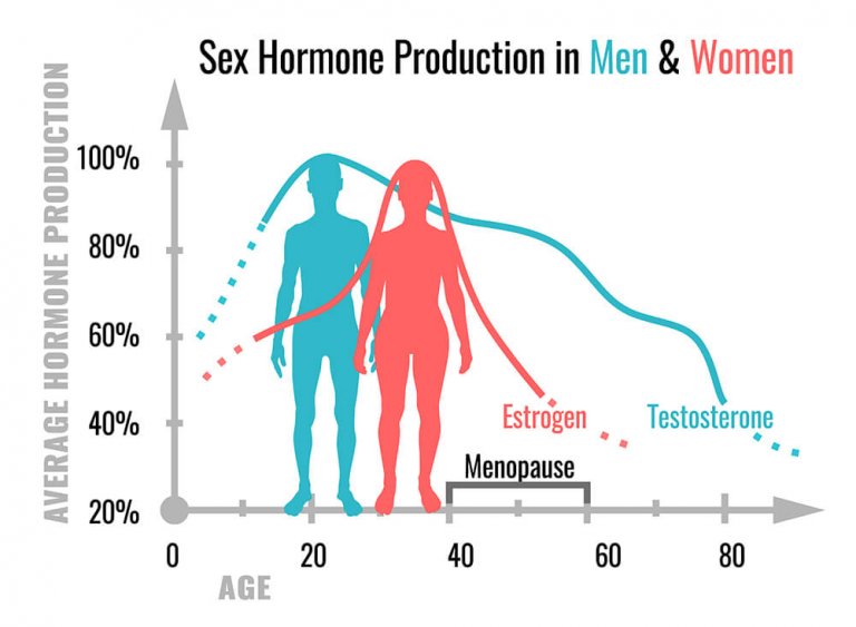 sex hormones