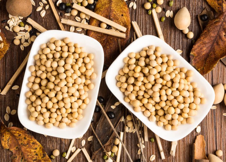 Soy Protein: Is it Good or Bad for Your Health?