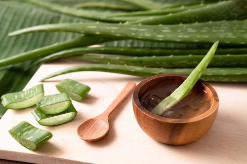 Aloe vera leaves and segments.