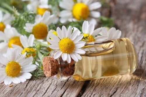 Chamomile oil bottle used to avoid muscle cramps.