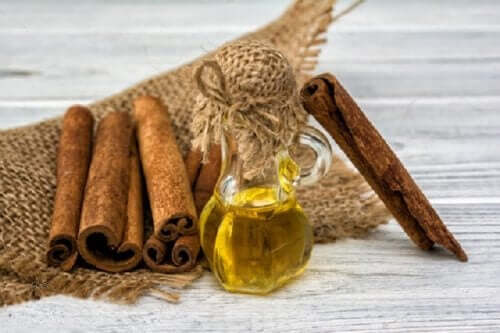 Cinnamon oil homemade mosquito repellents