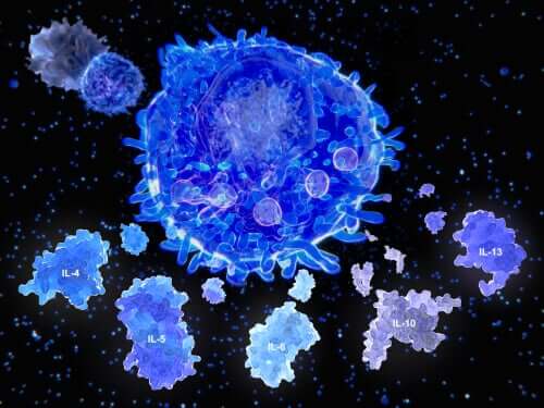 The Cytokine Storm and the Coronavirus