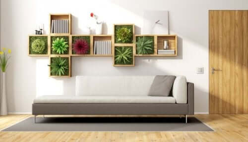 Indoor plants on shelf on wall.