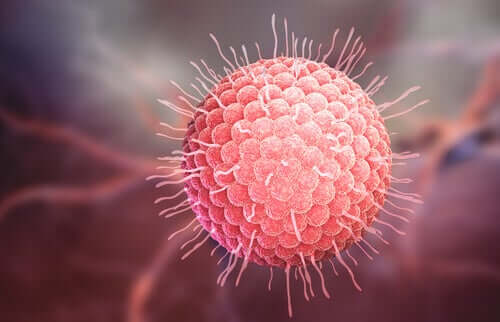 En rosa grafisk avritning av ett virus.