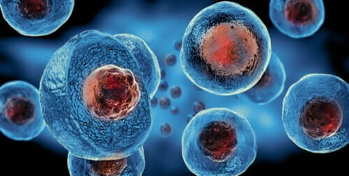 Сини вируси с червено ядро, след репродуктивния цикъл на вирусите.