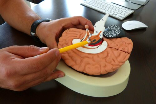 A person explaing how Parkinson's affects the brain.