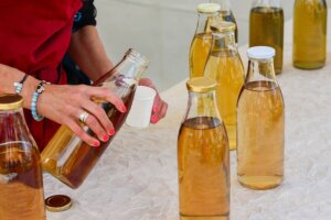 Characteristics and Risks of Kombucha Tea