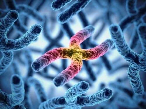 Chromosomes, which can cause hereditary deficient color vision.