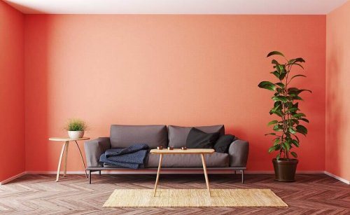 5 Color Trends for Your Home Decoration