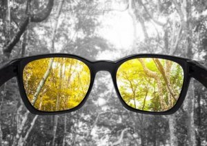 Causes of Poor or Deficient Color Vision