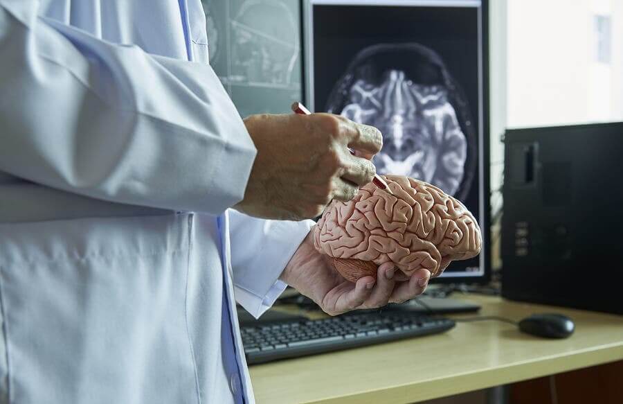 A doctor holding a plastic brain.