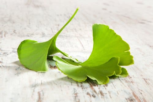 Ginkgo biloba helps treat sciatica.