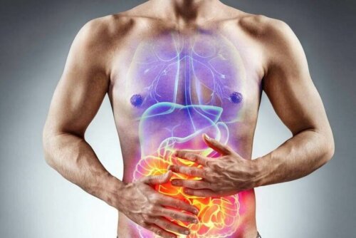A graphic showing a man's internal organs.