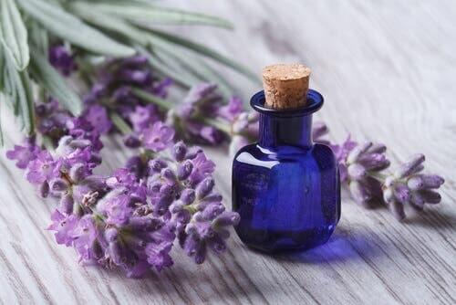 Bottle of lavender oil, can be used to control anxiety.
