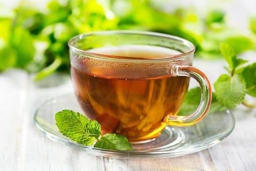 How to prepare mint tea to relieve indigestion