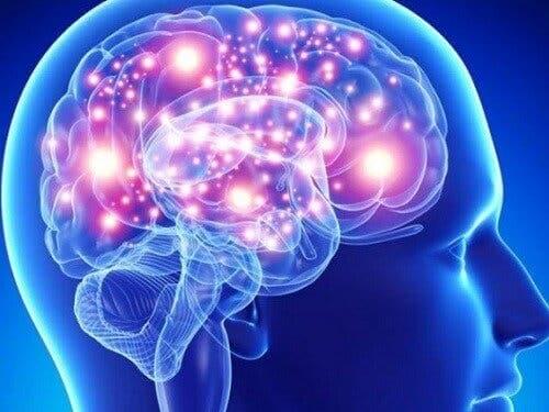 Multisystemic atrophy and the brain.